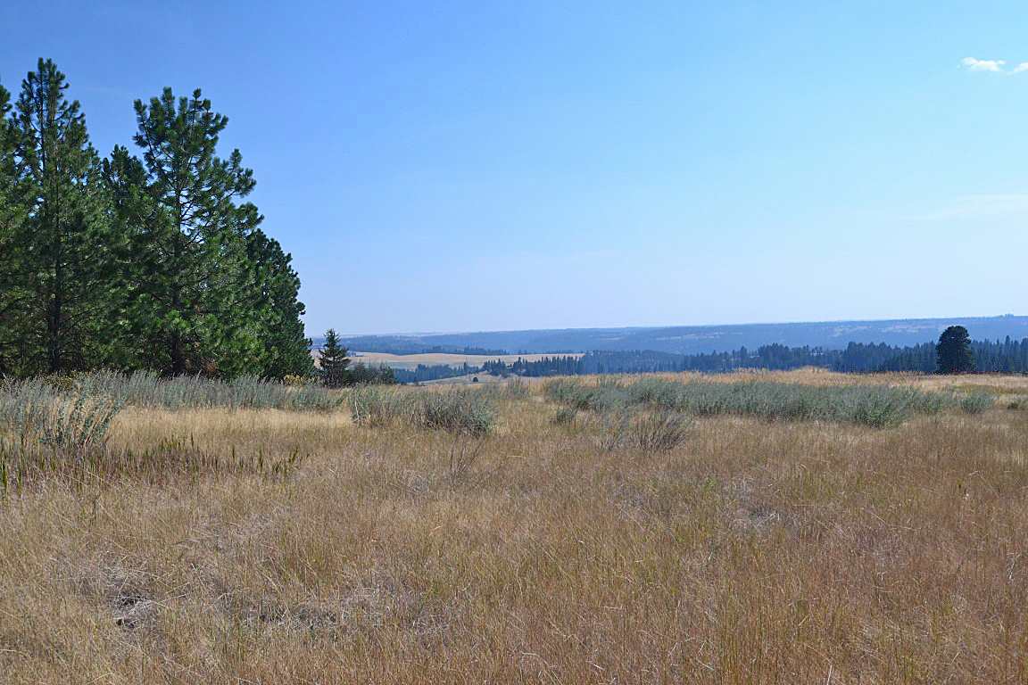 0 East Willow Springs Road Spokane, WA 99223 - Photo 5 of 20 Gallery Image 5