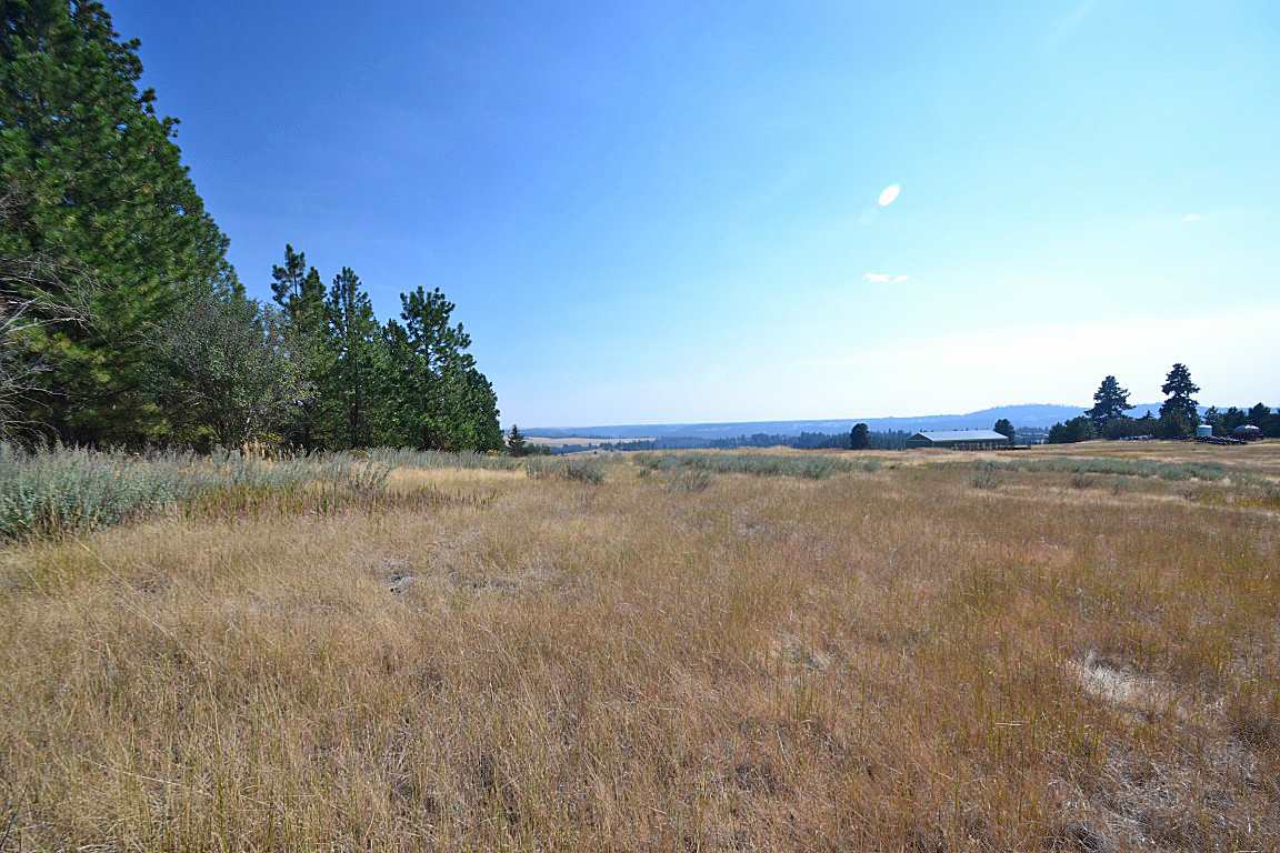 0 East Willow Springs Road Spokane, WA 99223 - Photo 6 of 20 Gallery Image 6