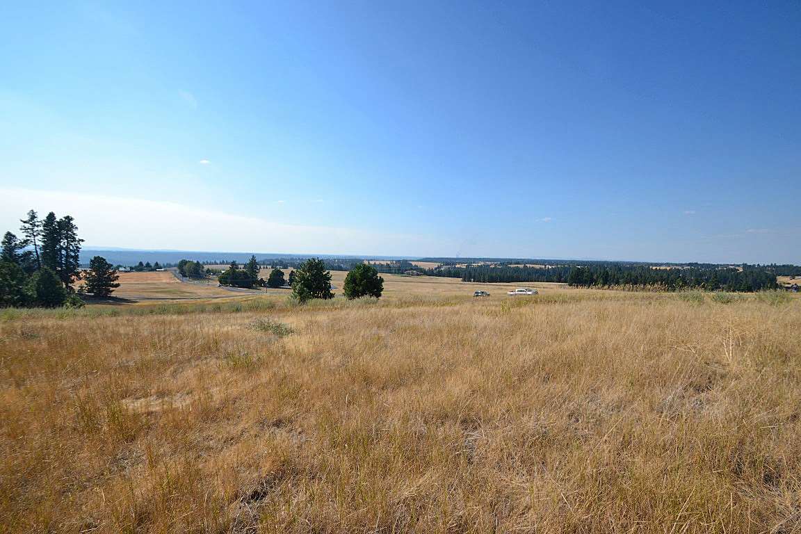 0 East Willow Springs Road Spokane, WA 99223 - Photo 7 of 20 Gallery Image 7