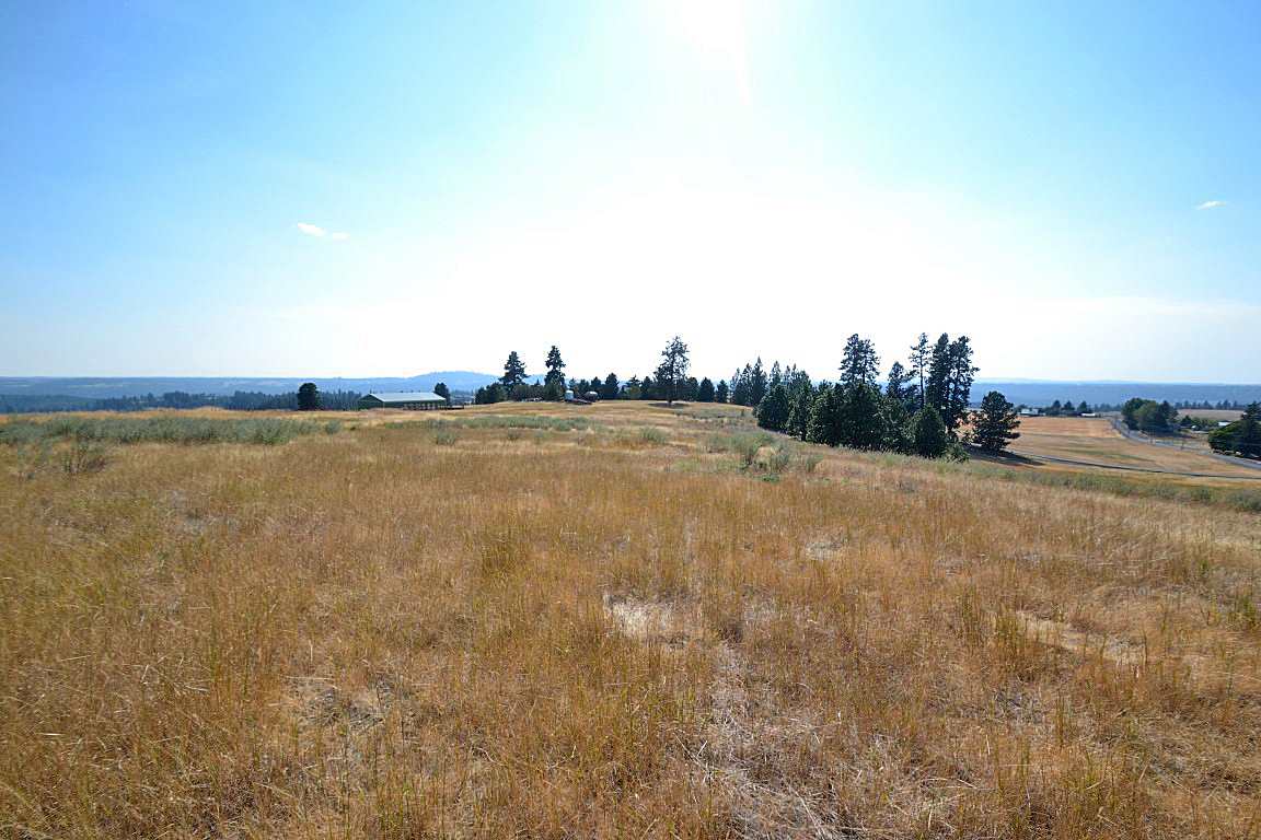 0 East Willow Springs Road Spokane, WA 99223 - Photo 8 of 20 Gallery Image 8