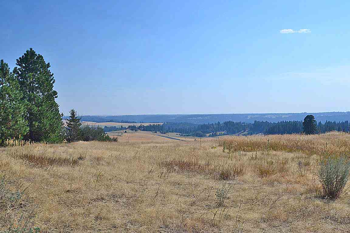 0 East Willow Springs Road Spokane, WA 99223 - Photo 9 of 20 Gallery Image 9