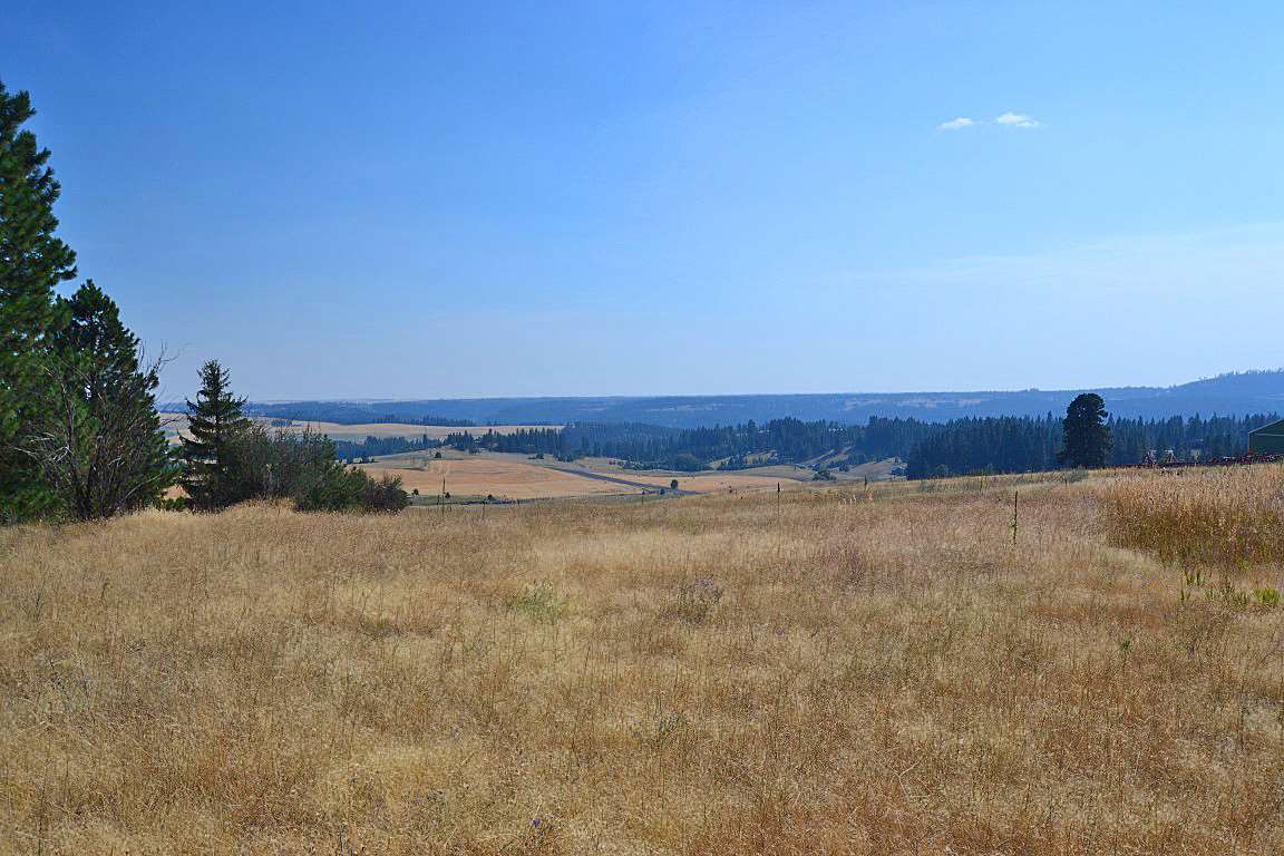 0 East Willow Springs Road Spokane, WA 99223 - Photo 10 of 20 Gallery Image 10