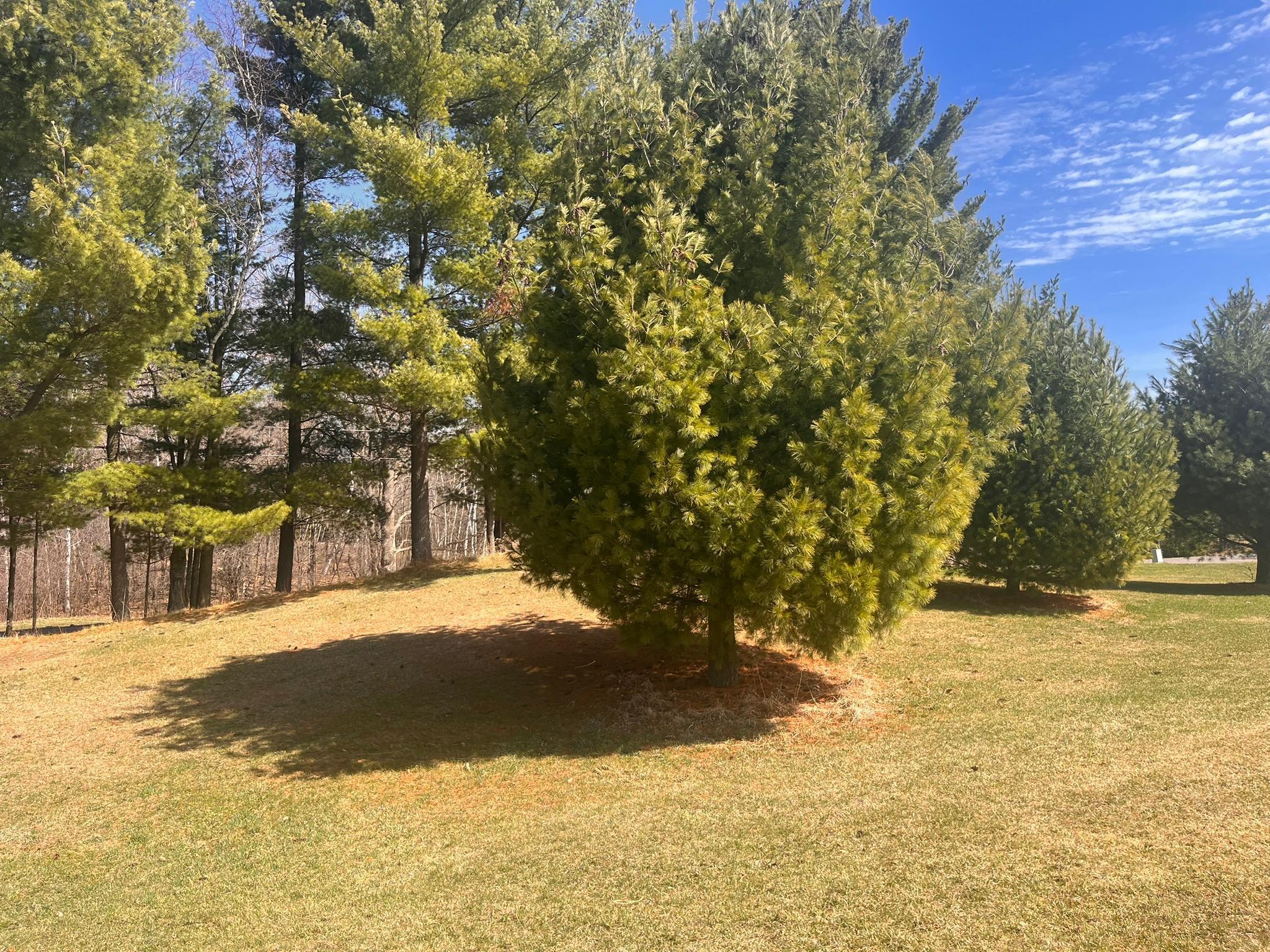 1349 64th Street Turtle Lake, WI 54889 - Photo 4 of 13