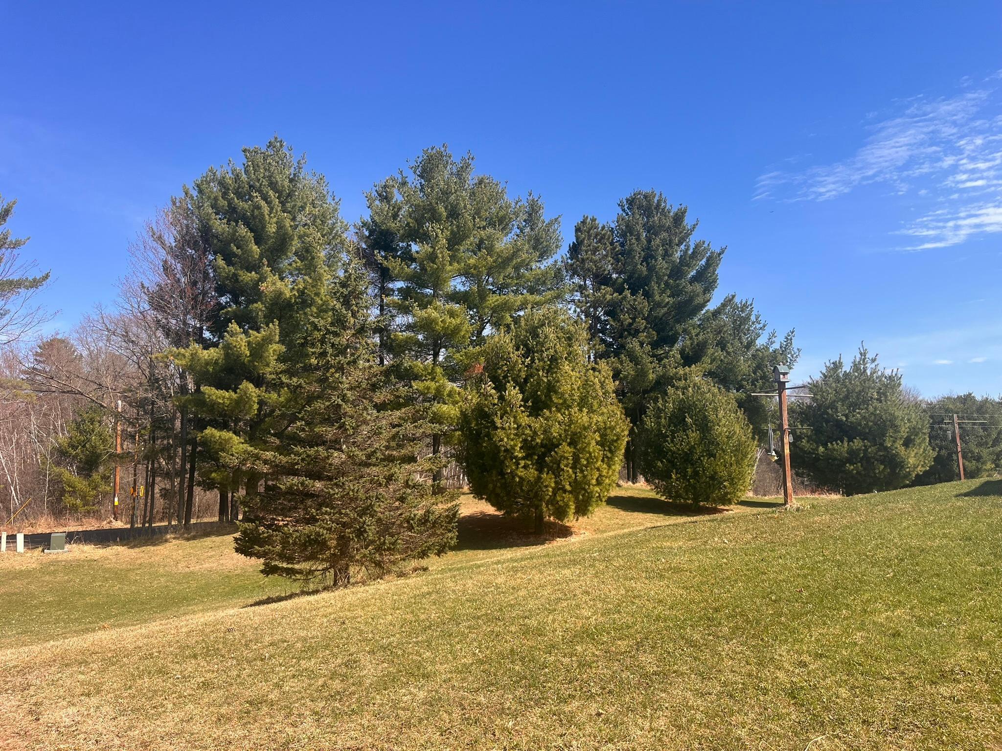 1349 64th Street Turtle Lake, WI 54889 - Photo 5 of 13