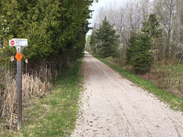 13998 Trowbridge Road Wolverine, MI 49799 - Photo 17 of 20 Gallery Image 17