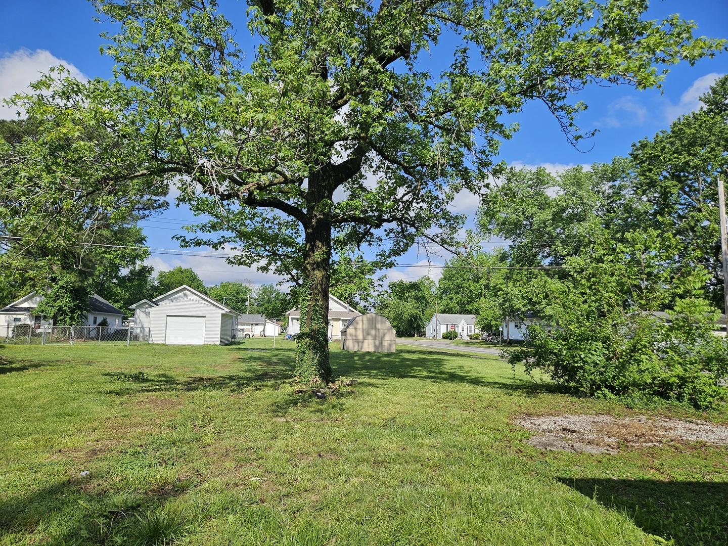 621 North 7th Street Herrin, IL 62948 - Photo 3 of 19 a view of a house with a yard and tree s