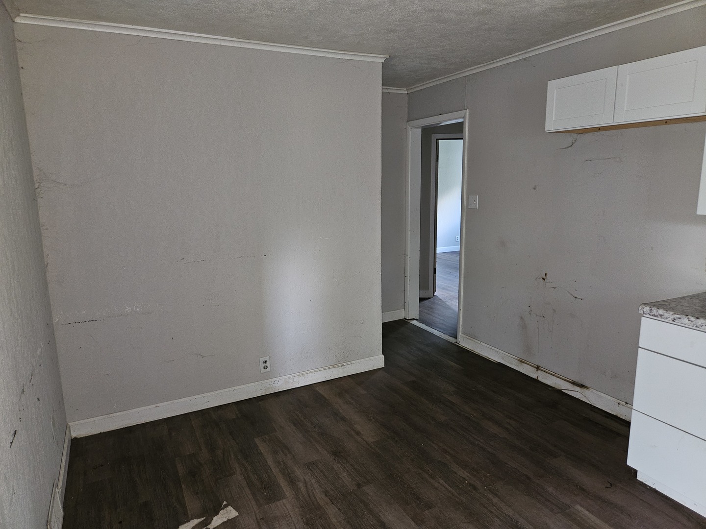 621 North 7th Street Herrin, IL 62948 - Photo 9 of 19 a view of an empty room with wooden floor and closet