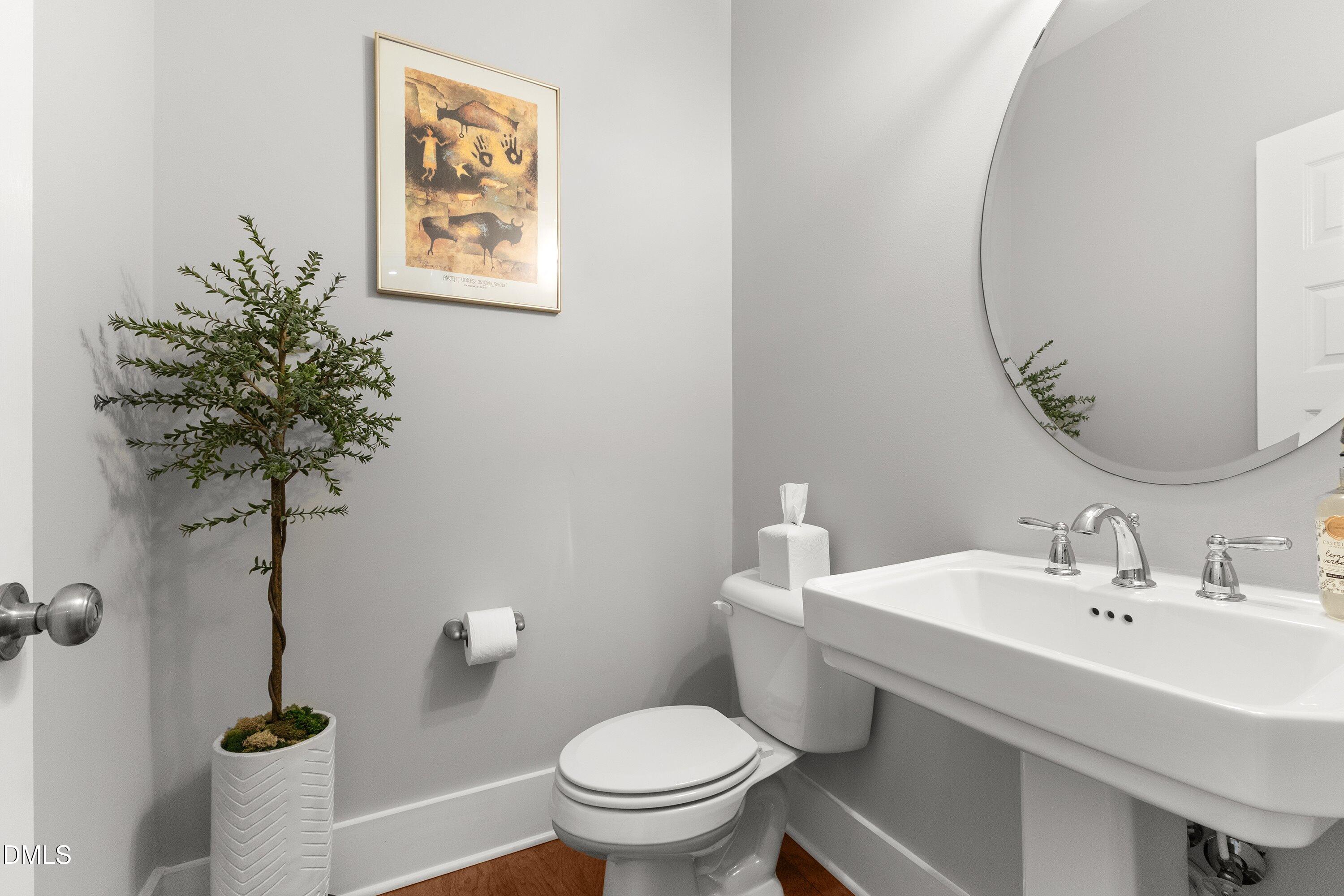 248 Old Hickory Drive Raleigh, NC 27603 - Photo 12 of 45 a bathroom with a toilet a sink and mirror
