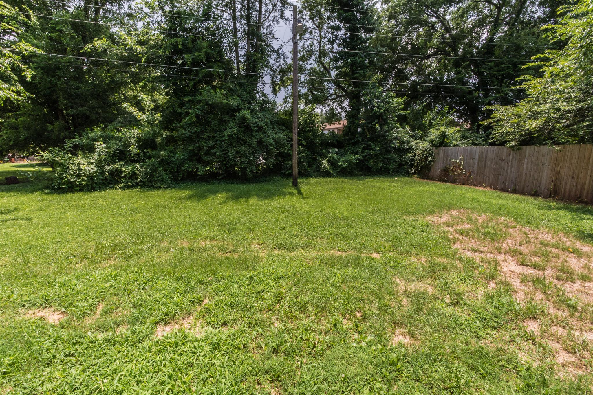 318 Burch Road Clarksville, TN 37042 - Photo 14 of 15 a view of a field with a tree