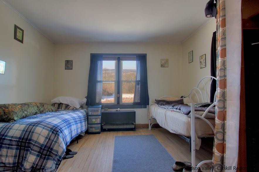 245 Hamilton Road Athens, NY 12015 - Photo 11 of 14 Photo 12