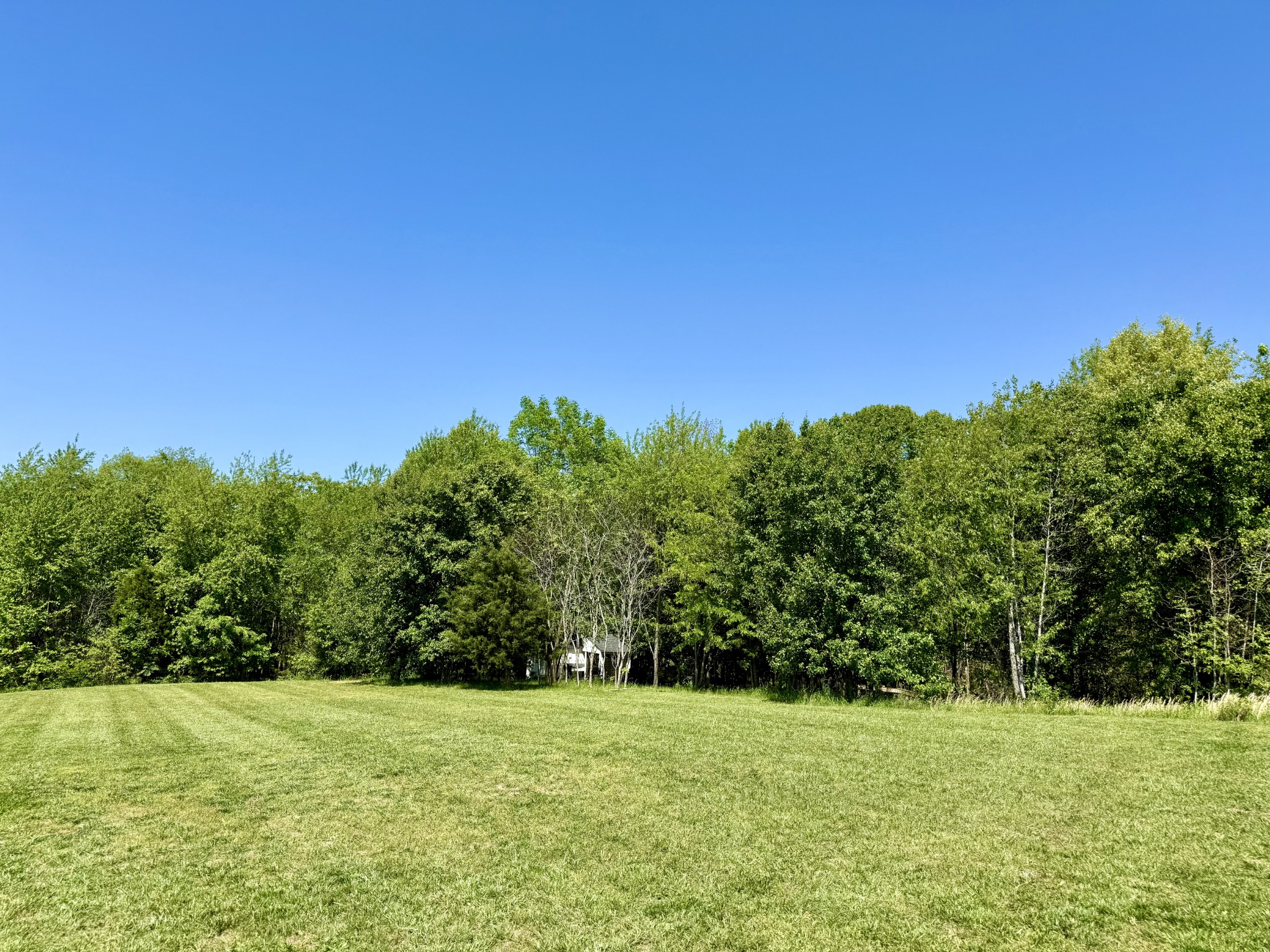248 Hillview Way Springfield, TN 37172 - Photo 54 of 68 Gallery Image 54