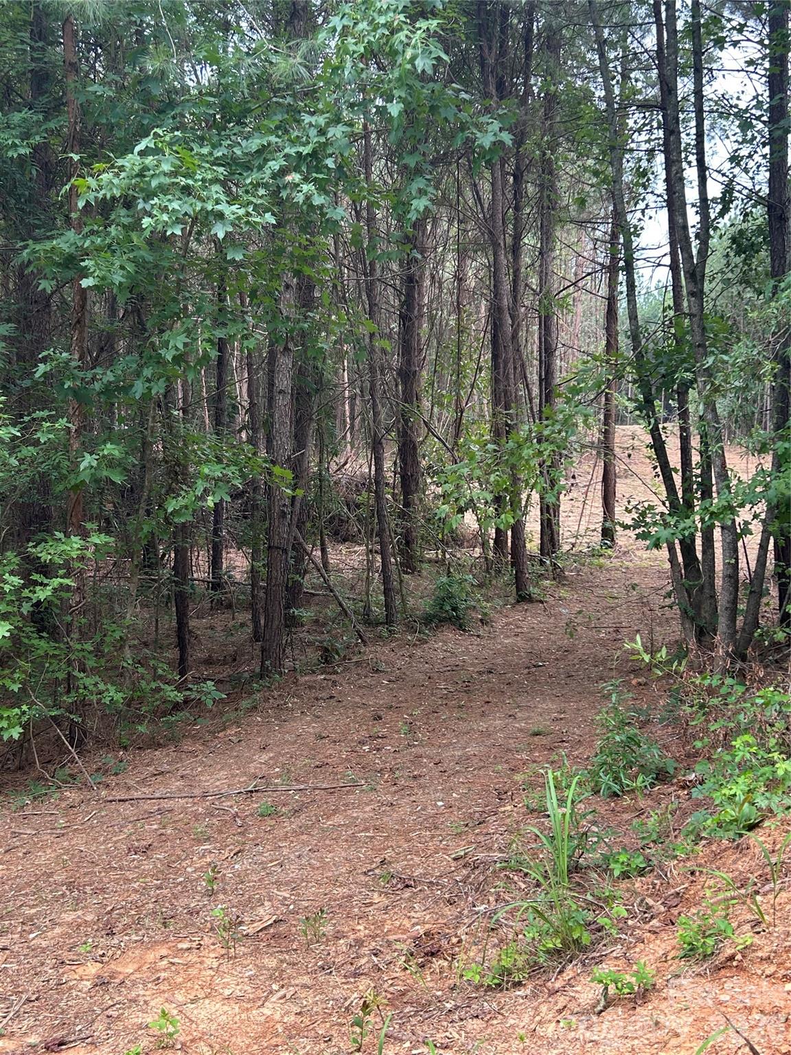 40896 Southbound Road Albemarle, NC 28001 - Photo 7 of 7 Gallery Image 7