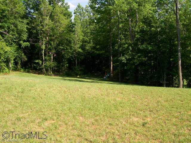 7889 Newhaven Drive Oak Ridge, NC 27310 - Photo 9 of 9 Other.