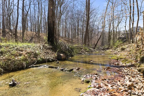 a view of a backyard with large trees