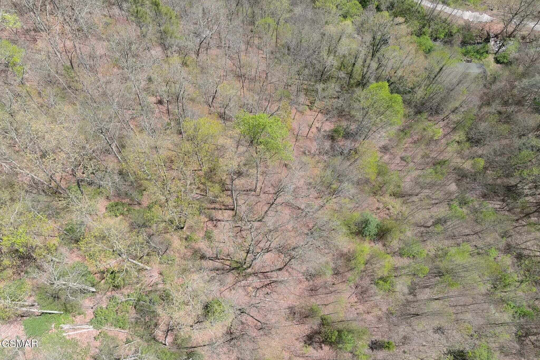 4246 Birds Creek Road Sevierville, TN 37876 - Photo 18 of 36 Gallery Image 18