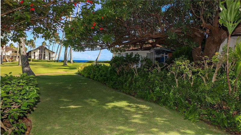 2253 Poipu Road, Unit 183 Koloa, HI 96756 - Photo 6 of 30 a view of a trees in a yard