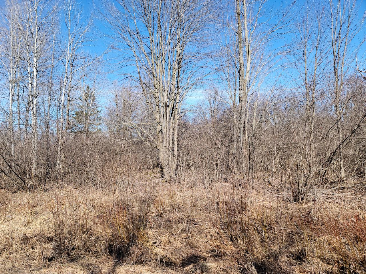 On Rangeline Road, Unit 35 ACRES Antigo, WI 54409 - Photo 14 of 16 Gallery Image 14