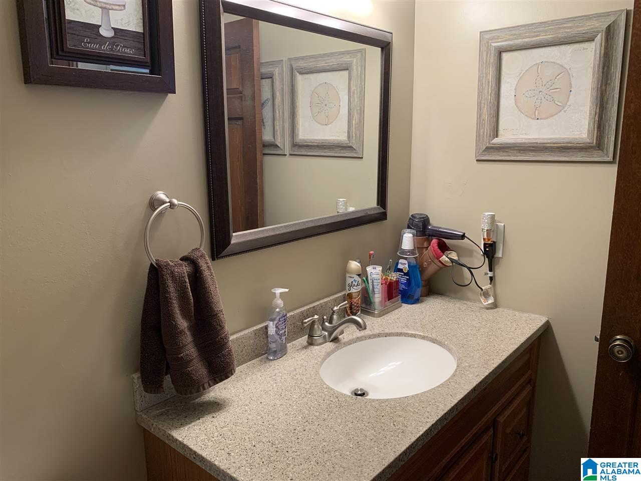 720 Big Rock Road Pell City, AL 35128 - Photo 23 of 47