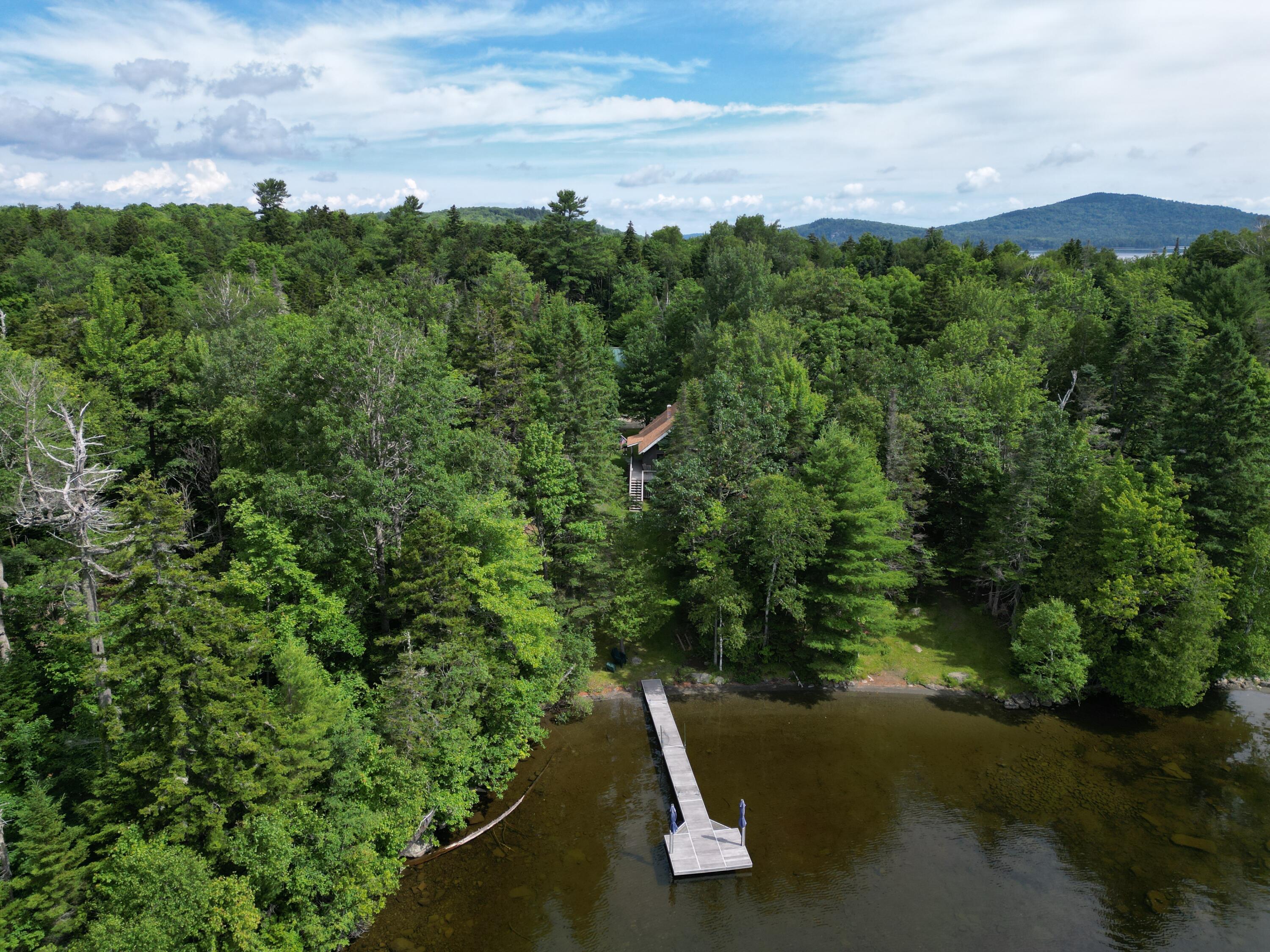 347 Harford's Point Road Greenville Junction, ME 04442 - Photo 45 of 53 DJI_0270