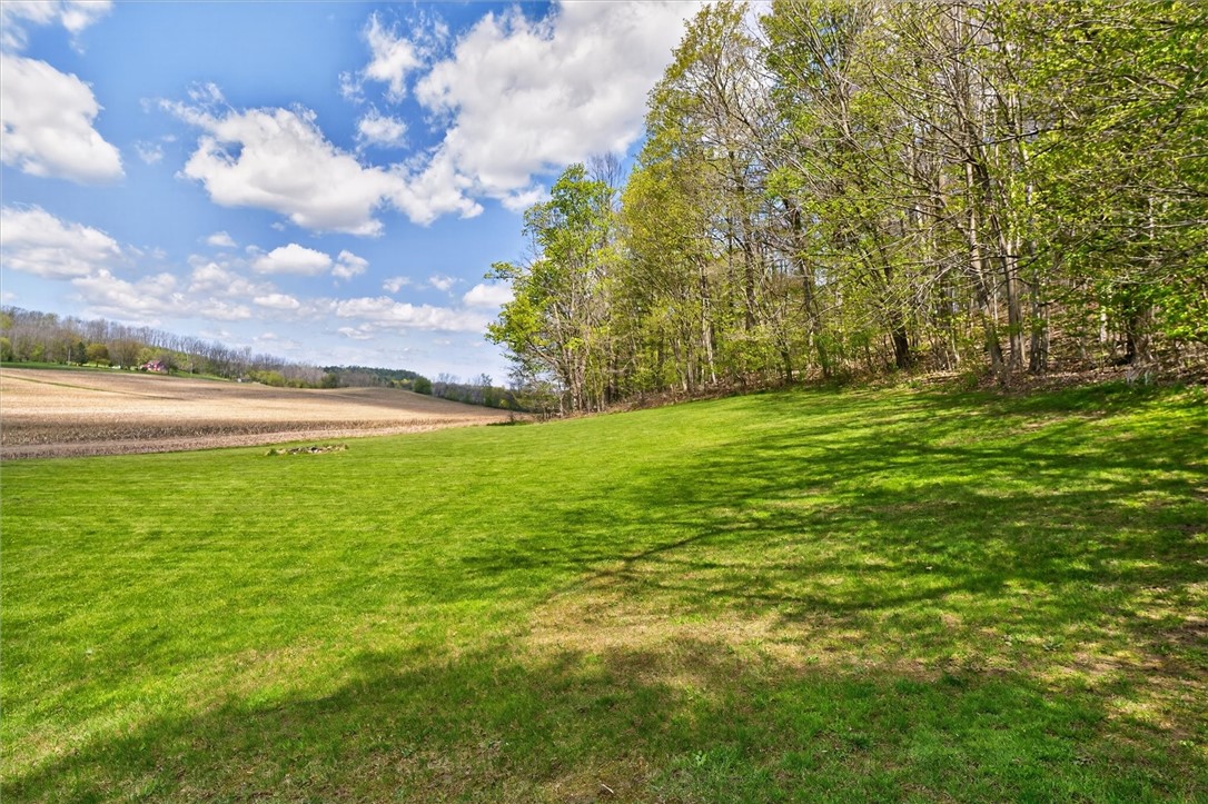 5601 Stuart Avenue Arcadia, NY 14513 - Photo 46 of 50 Countryside Views