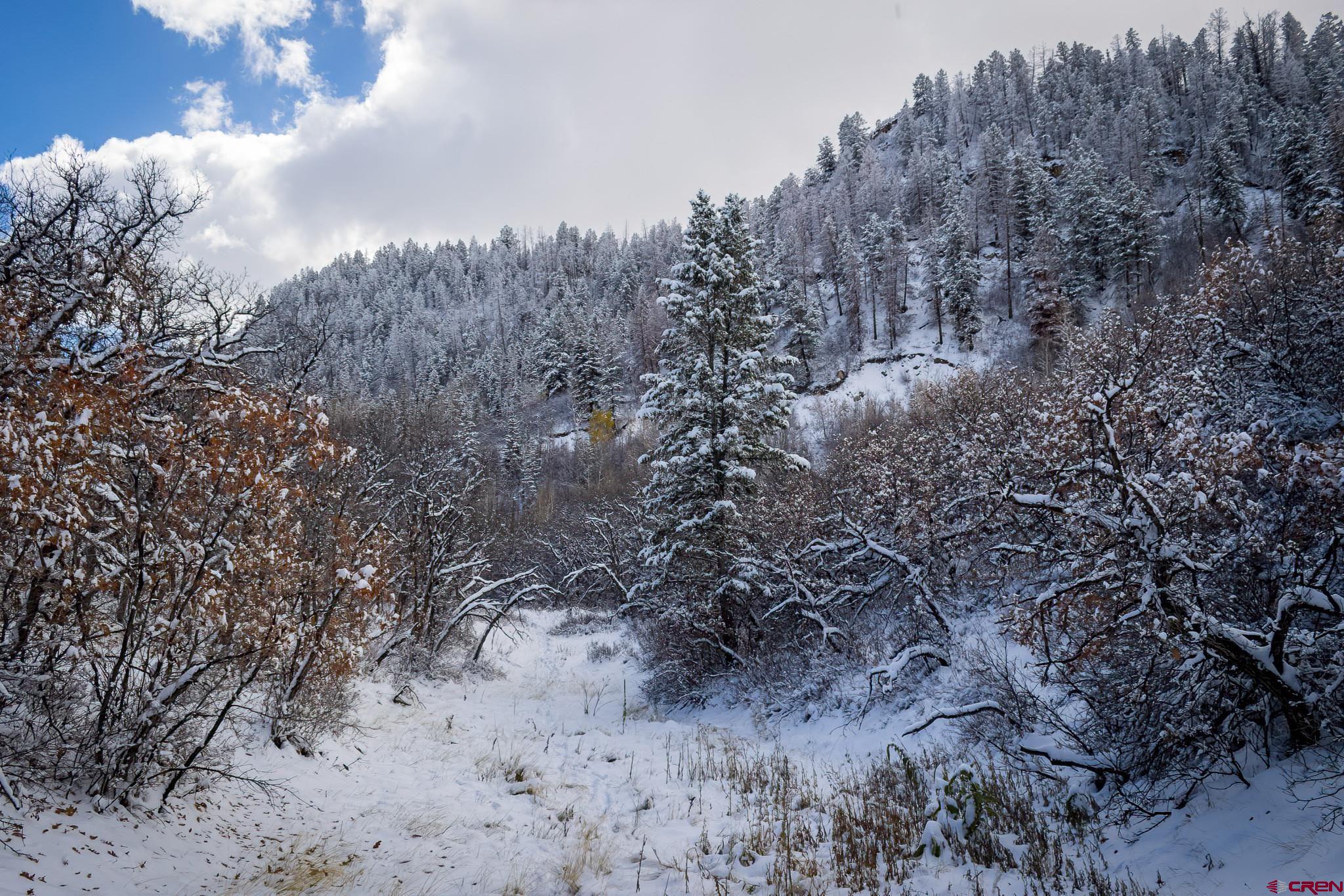 Lot 12 Scenic Ridgway, CO 81432 - Photo 13 of 32 Gallery Image 13