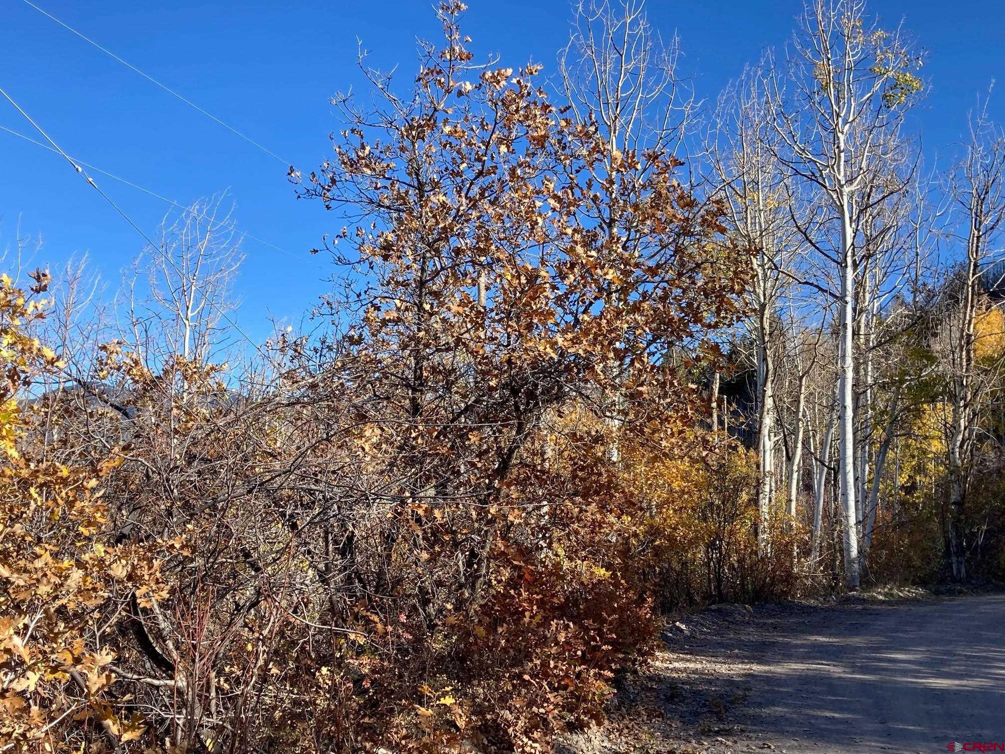 Lot 12 Scenic Ridgway, CO 81432 - Photo 17 of 32 Gallery Image 17