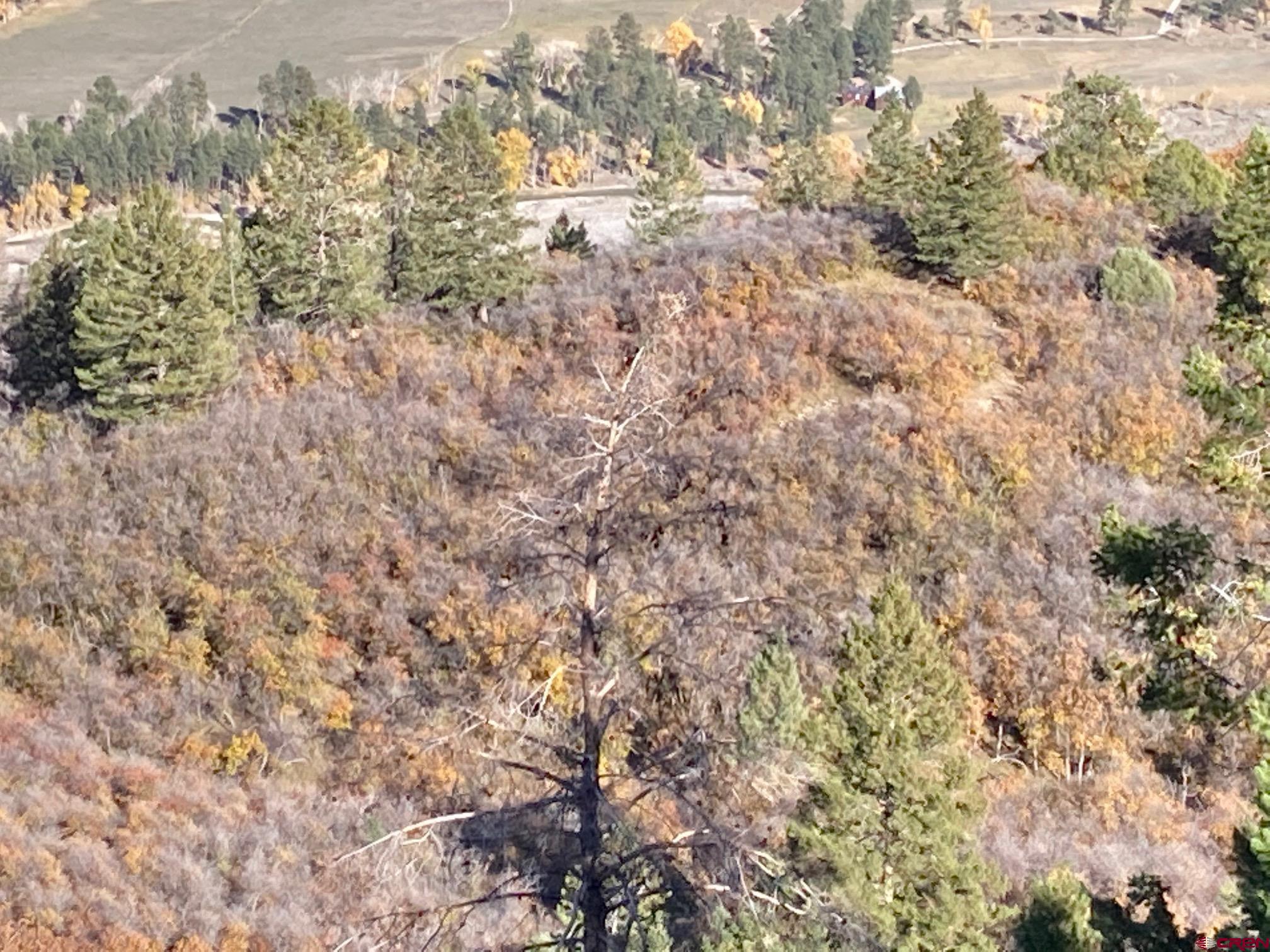 Lot 12 Scenic Ridgway, CO 81432 - Photo 26 of 32 Gallery Image 26