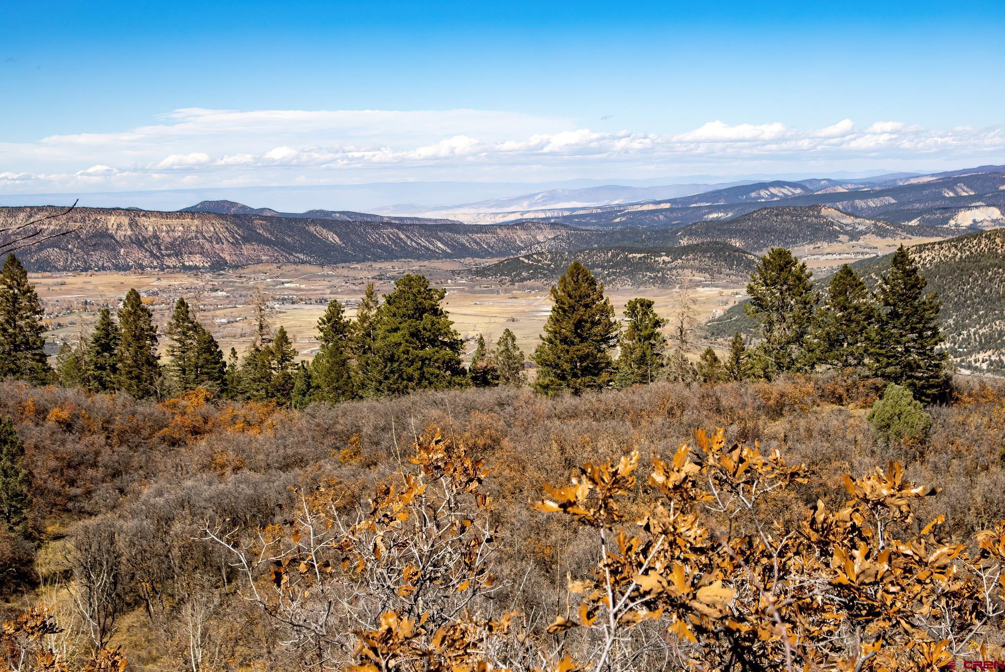 Lot 12 Scenic Ridgway, CO 81432 - Photo 5 of 32 Gallery Image 5