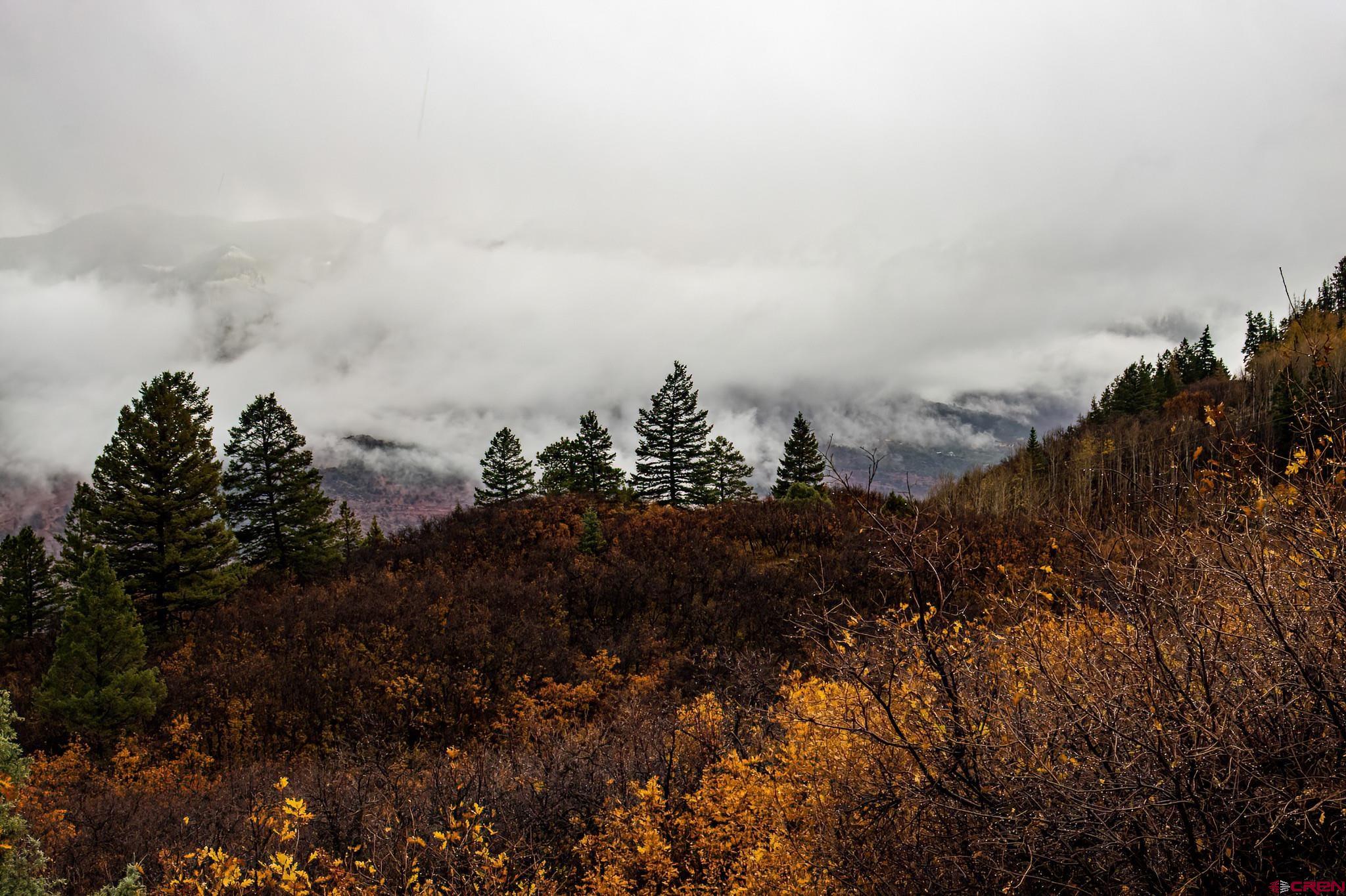 Lot 12 Scenic Ridgway, CO 81432 - Photo 6 of 32 Gallery Image 6