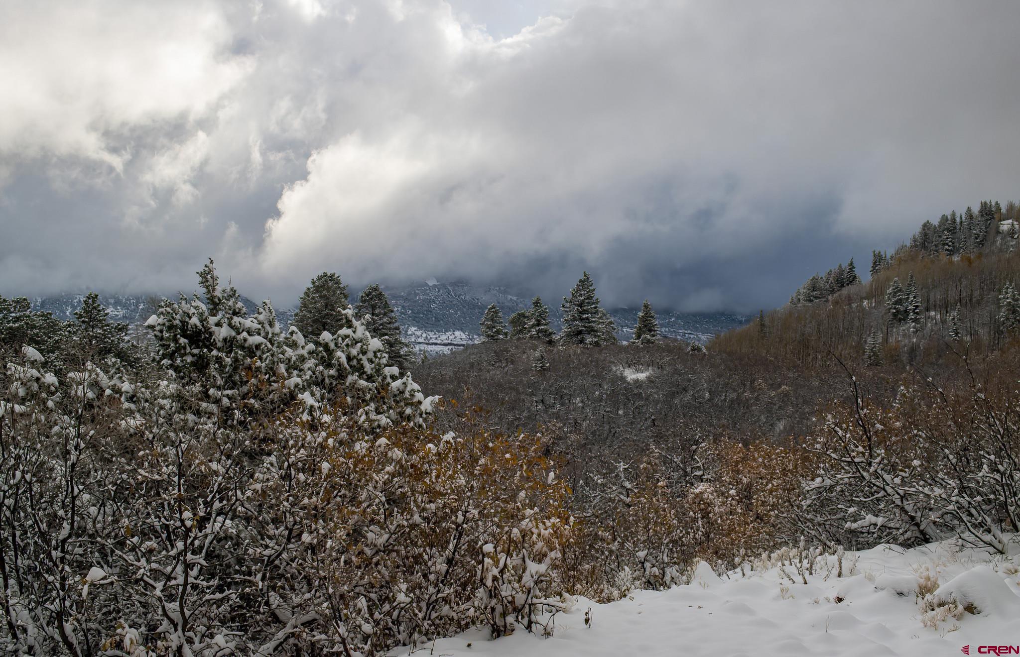 Lot 12 Scenic Ridgway, CO 81432 - Photo 8 of 32 Gallery Image 8