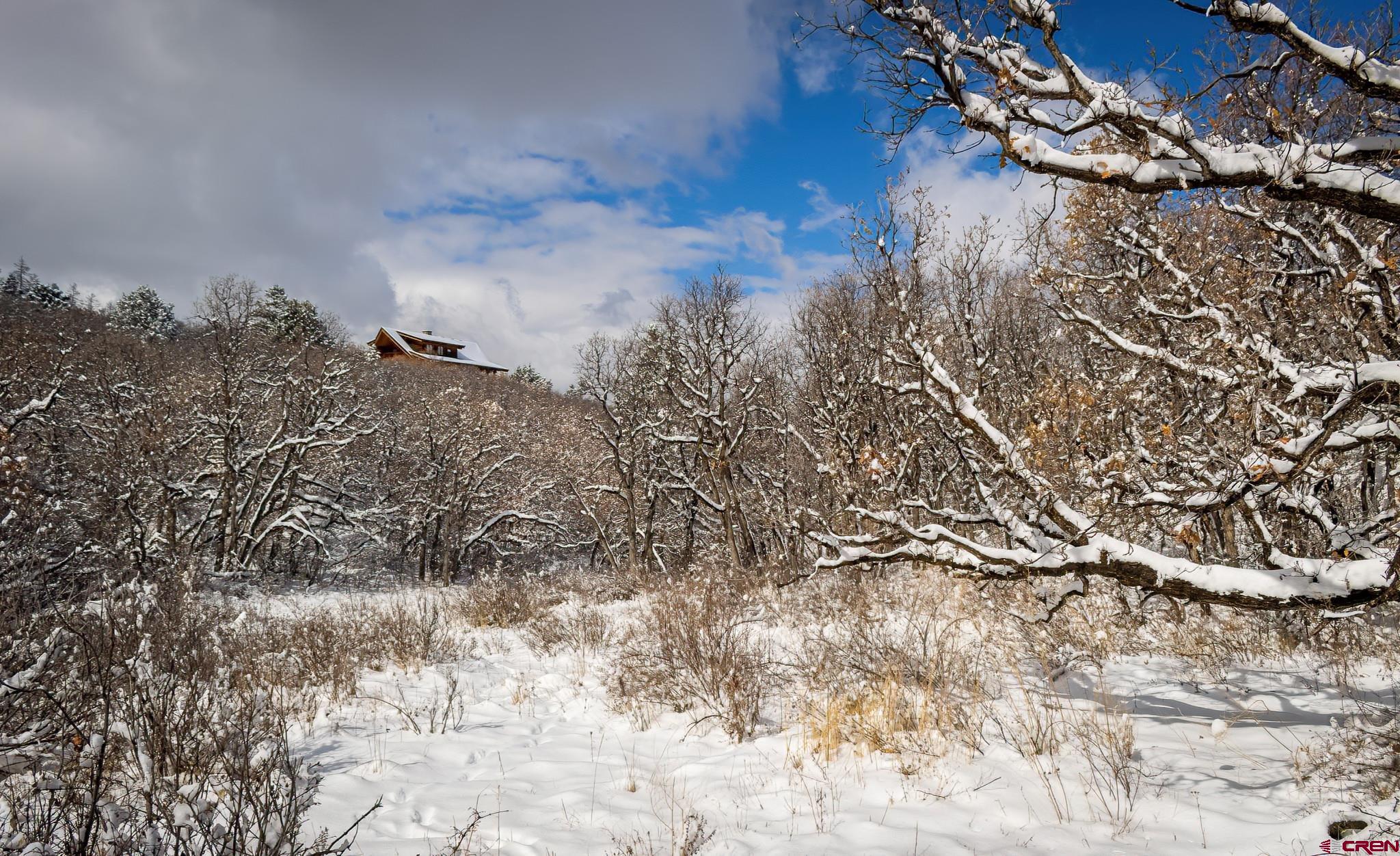 Lot 12 Scenic Ridgway, CO 81432 - Photo 10 of 32 Gallery Image 10