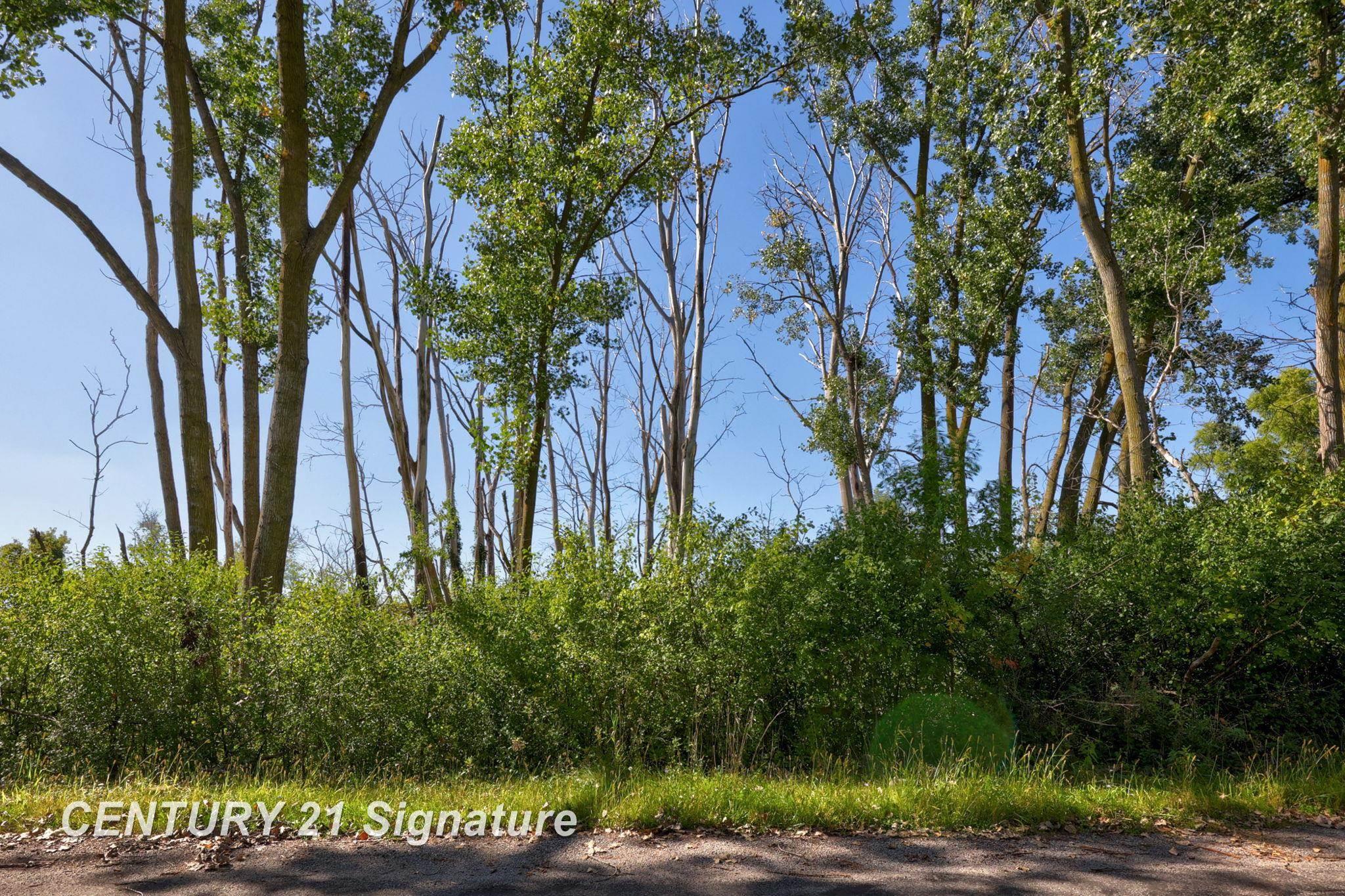 Melbourne Road Saginaw, MI 48604 - Photo 16 of 27