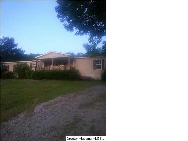 4130 Wolf Creek Road Pell City, AL 35128 - Photo 1 of 8