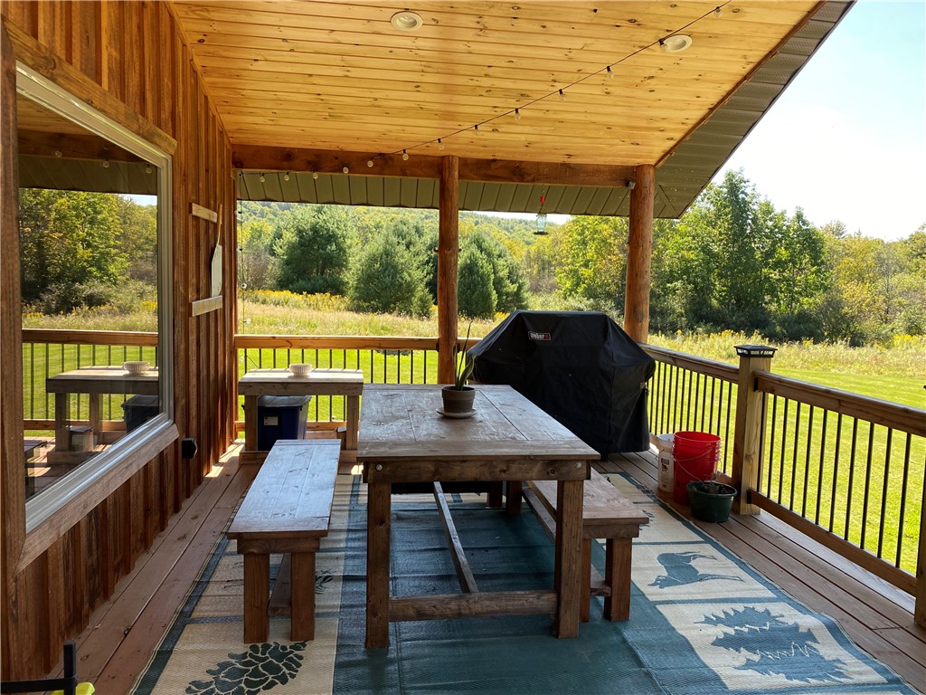 11265 Ringrose Road Prattsburgh, NY 14873 - Photo 11 of 44