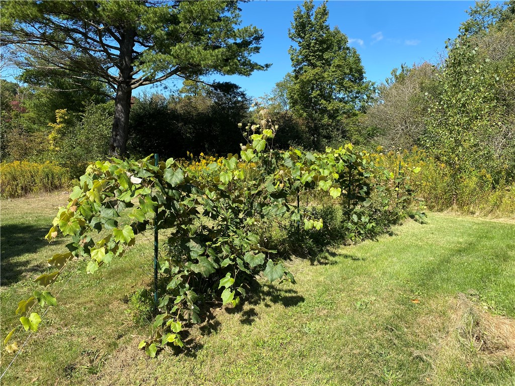 11265 Ringrose Road Prattsburgh, NY 14873 - Photo 31 of 44