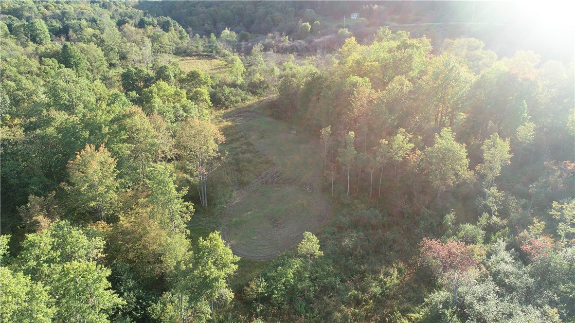 11265 Ringrose Road Prattsburgh, NY 14873 - Photo 32 of 44