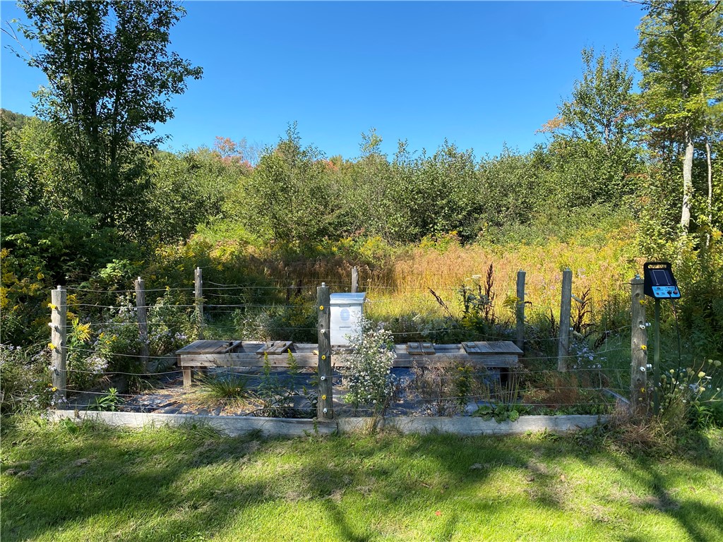 11265 Ringrose Road Prattsburgh, NY 14873 - Photo 33 of 44