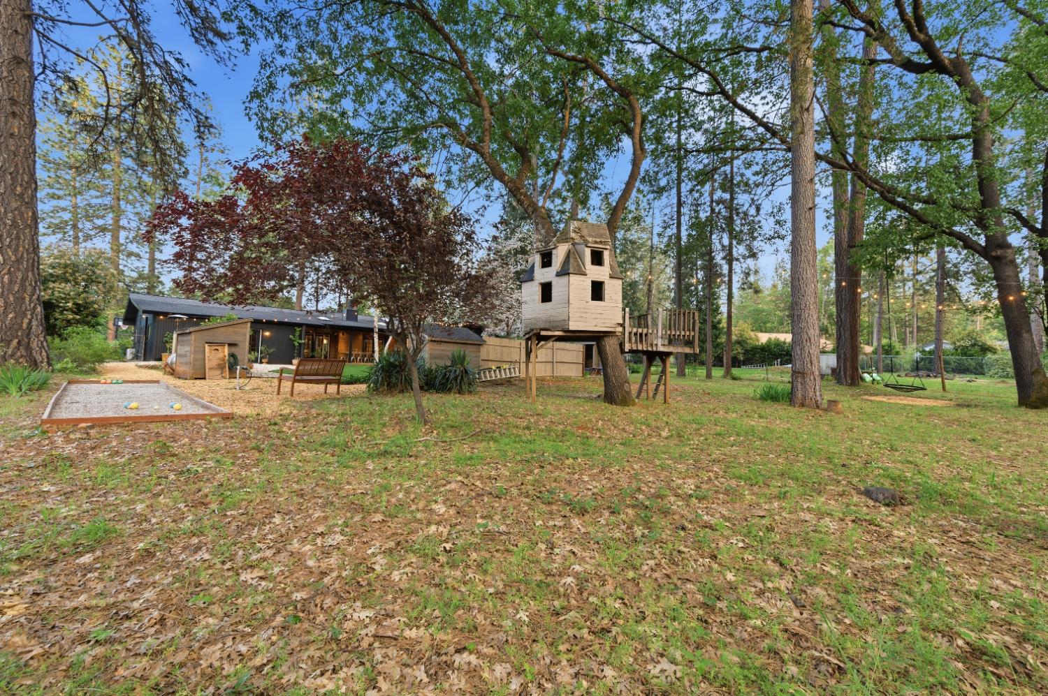 16856 Scott Way Grass Valley, CA 95949 - Photo 43 of 67 a view of a house with backyard and a tree