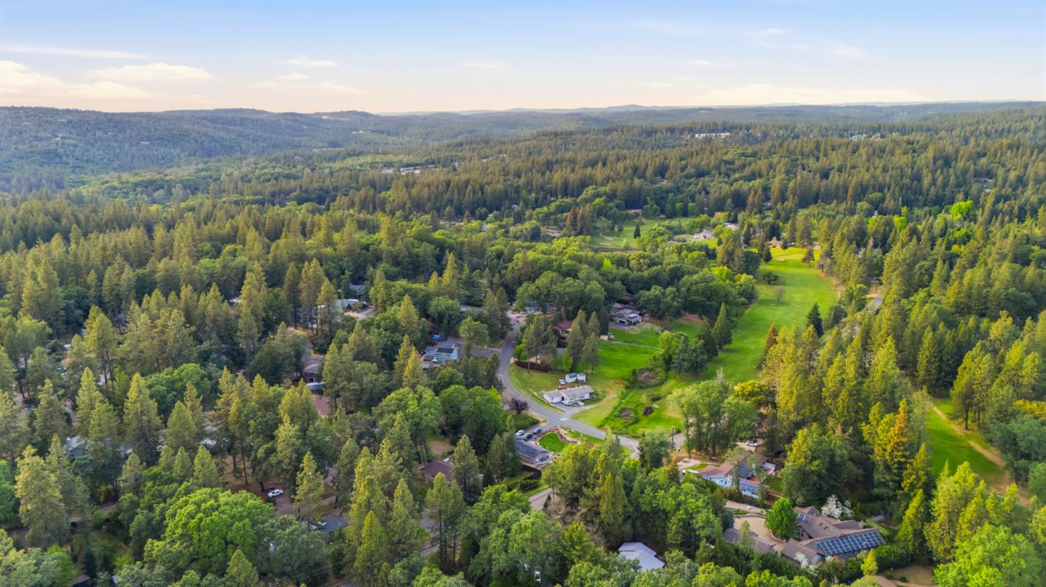 16856 Scott Way Grass Valley, CA 95949 - Photo 65 of 67 a view of a lush green forest with lush green forest