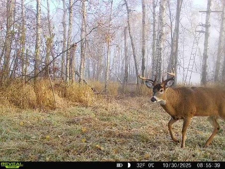 14 Old 14 Road Weyerhaeuser, WI 54895 - Photo 2 of 24