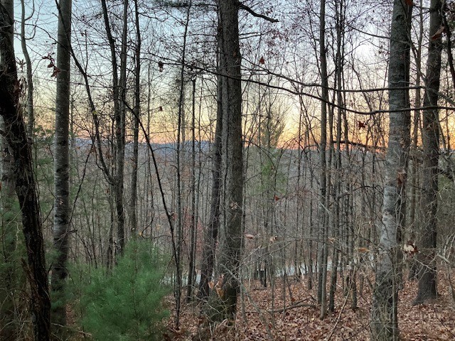 Old Deer Trace Road Todd, NC 28684 - Photo 2 of 4