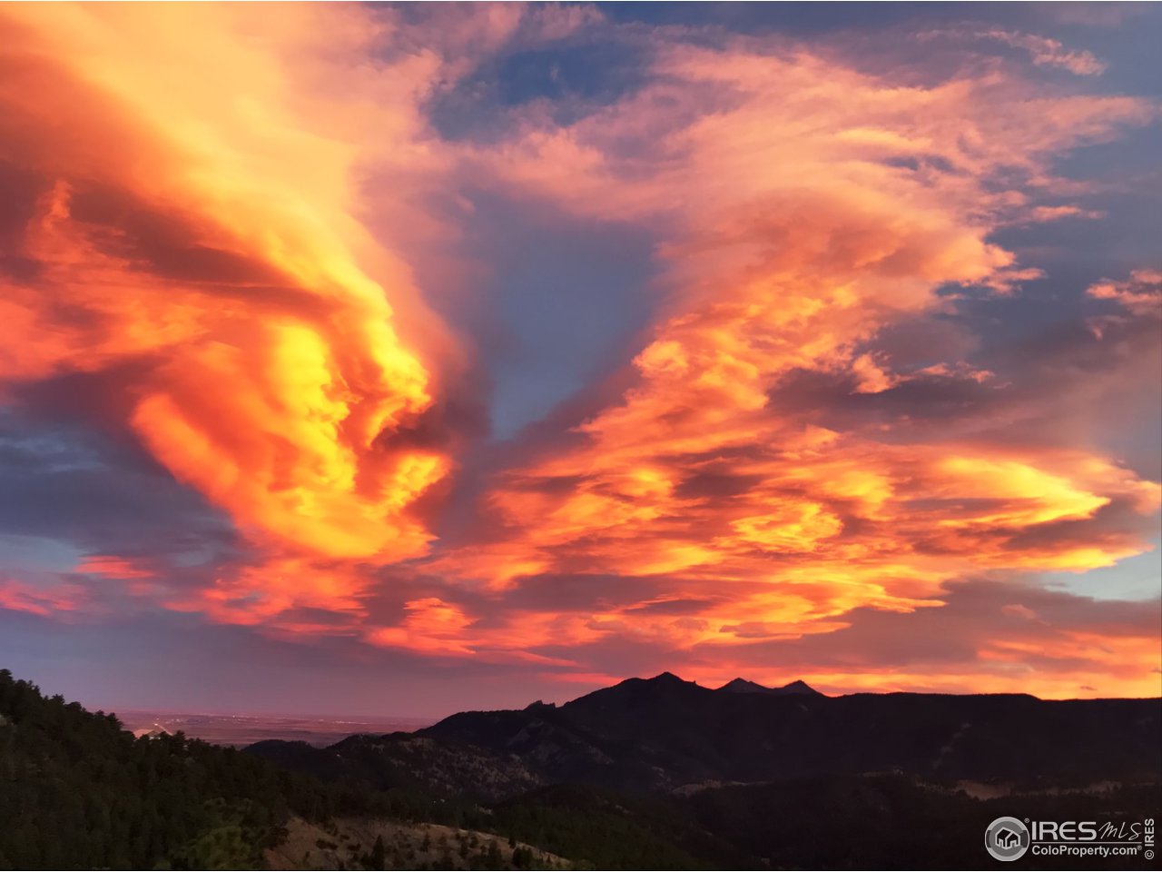 1133 Arroyo Chico Road Boulder, CO 80302 - Photo 8 of 37