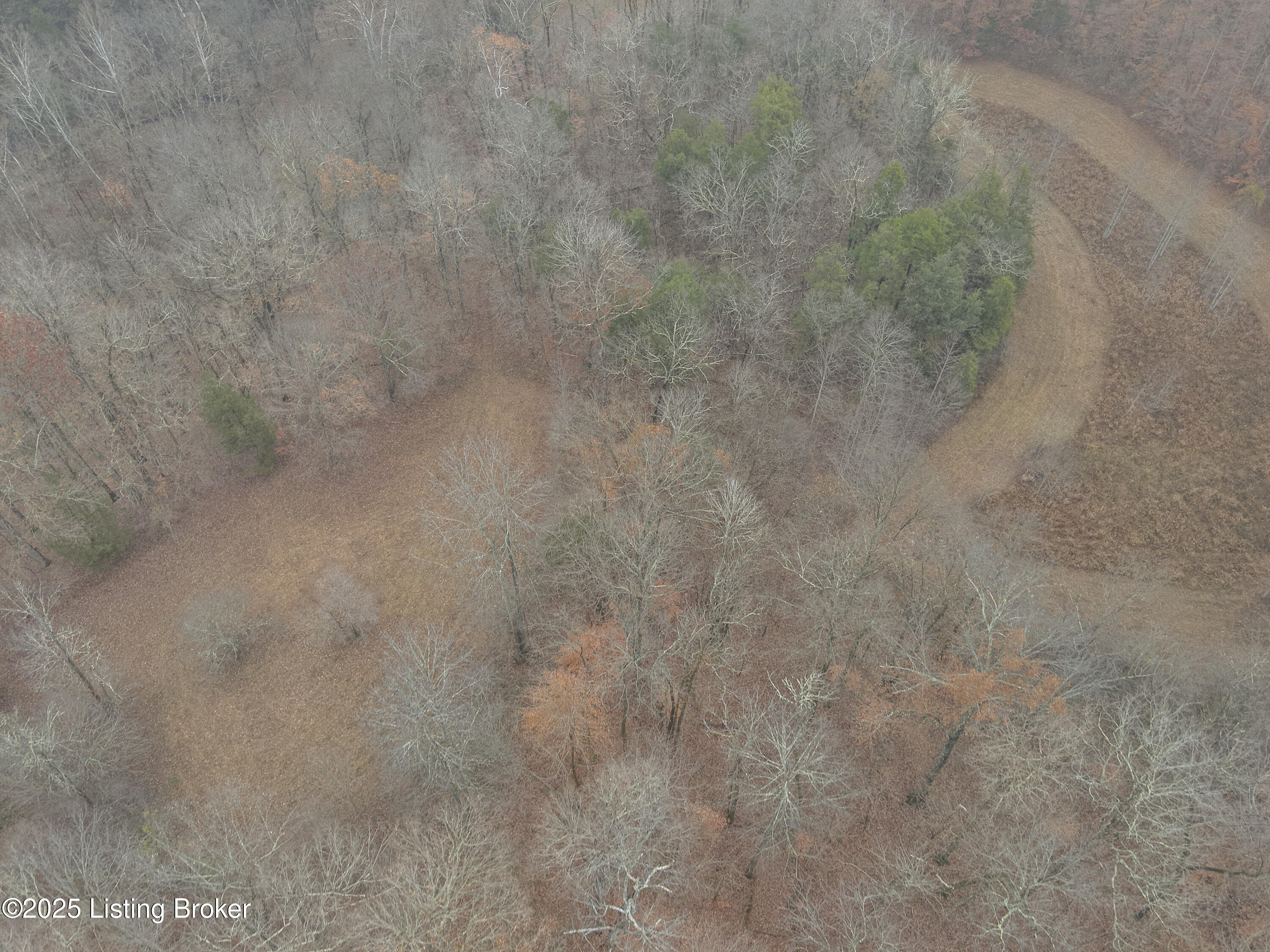 3095 Herbert Howell Road Hodgenville, KY 42748 - Photo 12 of 80 6-DJI_20251119125723_0006_W