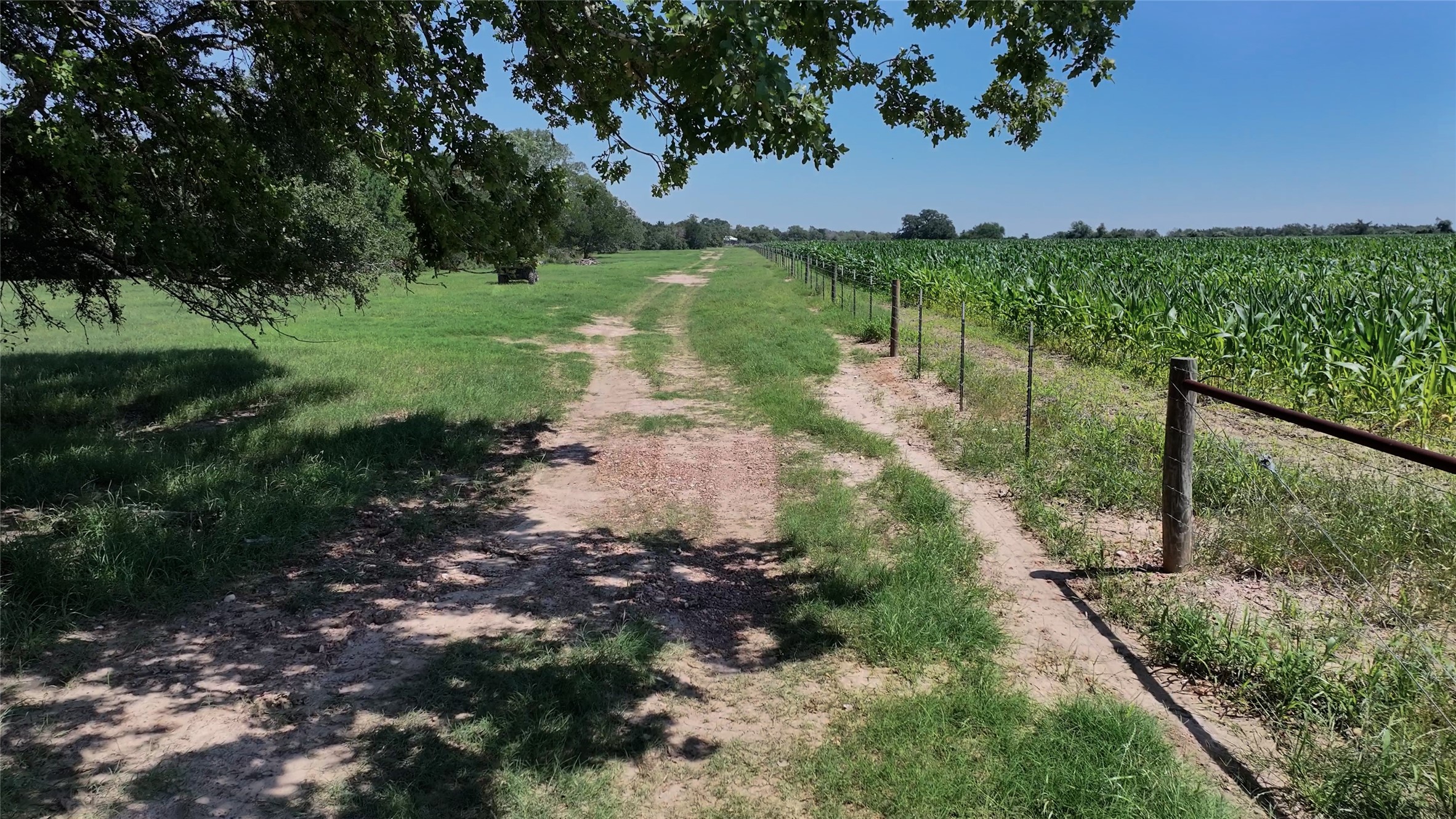 Tbd Warda Church Road Giddings, TX 78942 - Photo 9 of 29