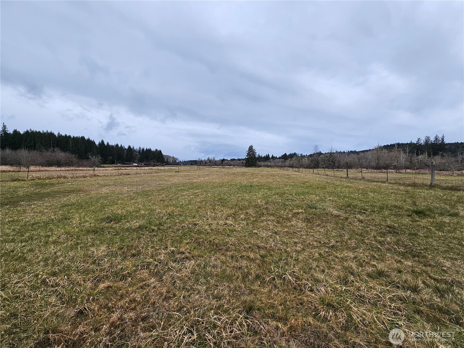 145 Oneill Road Elma, WA 98541 - Photo 39 of 40