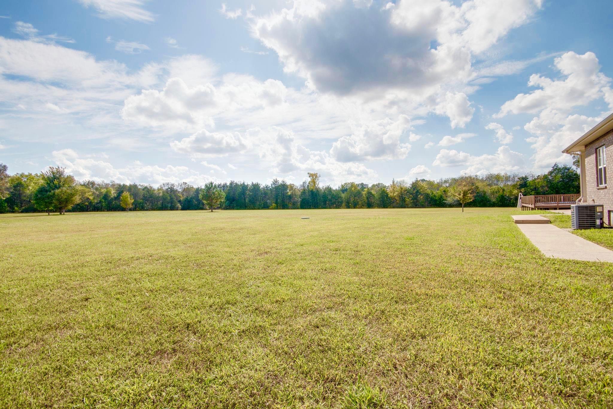 11187 South Windrow Road Rockvale, TN 37153 - Photo 22 of 26 Yes, plenty of land with privacy.
