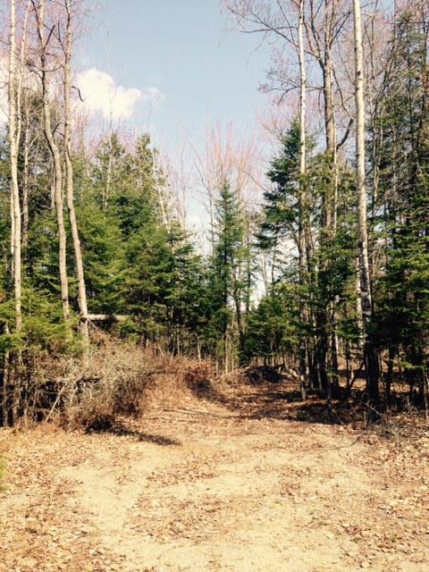 Lot 6 Indian Stream Road Kingfield, ME 04947 - Photo 3 of 9 Photo