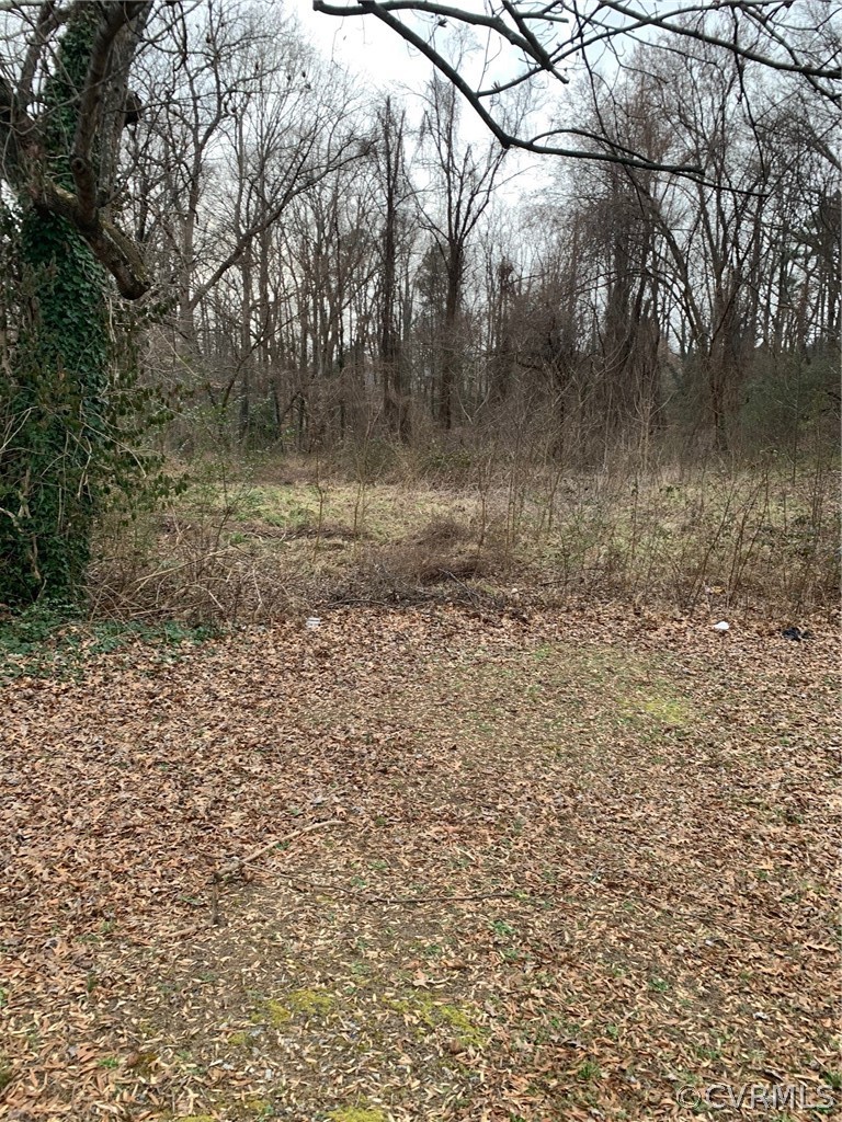 3658 Cottrell Road Richmond, VA 23234 - Photo 1 of 3 1.83 acres R-3 lot in south Richmond