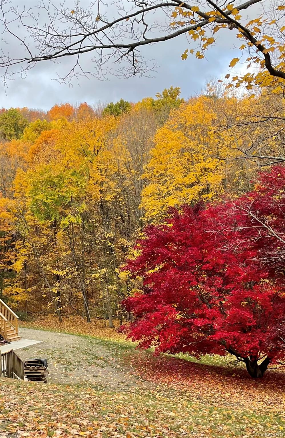 198 Pleasant Ridge Road Poughquag, NY 12570 - Photo 3 of 27