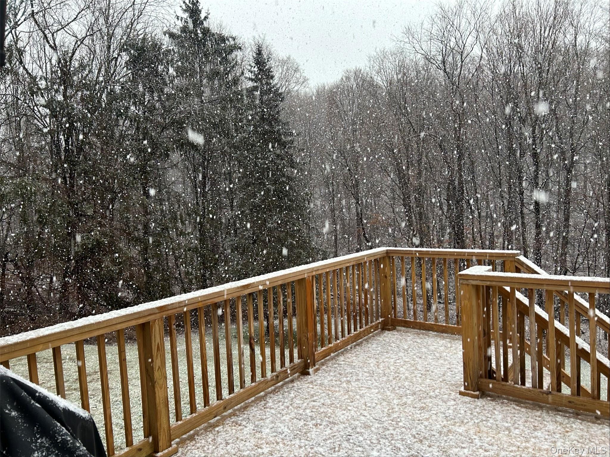 198 Pleasant Ridge Road Poughquag, NY 12570 - Photo 6 of 27 a view of balcony and deck